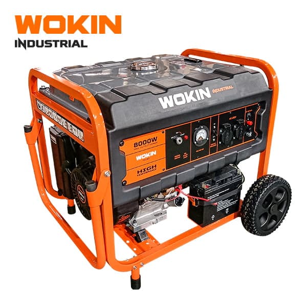 Gasoline Generator 8000W 110009197
