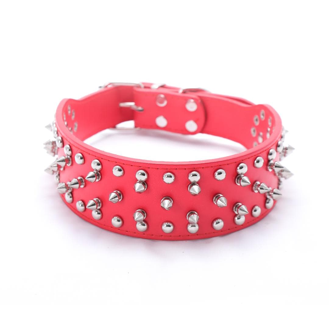Animals & Pet Supplies