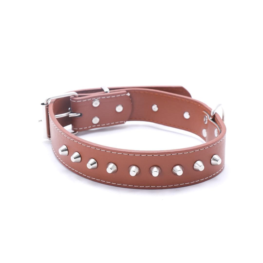 Dog Belt 62Cm 110005722